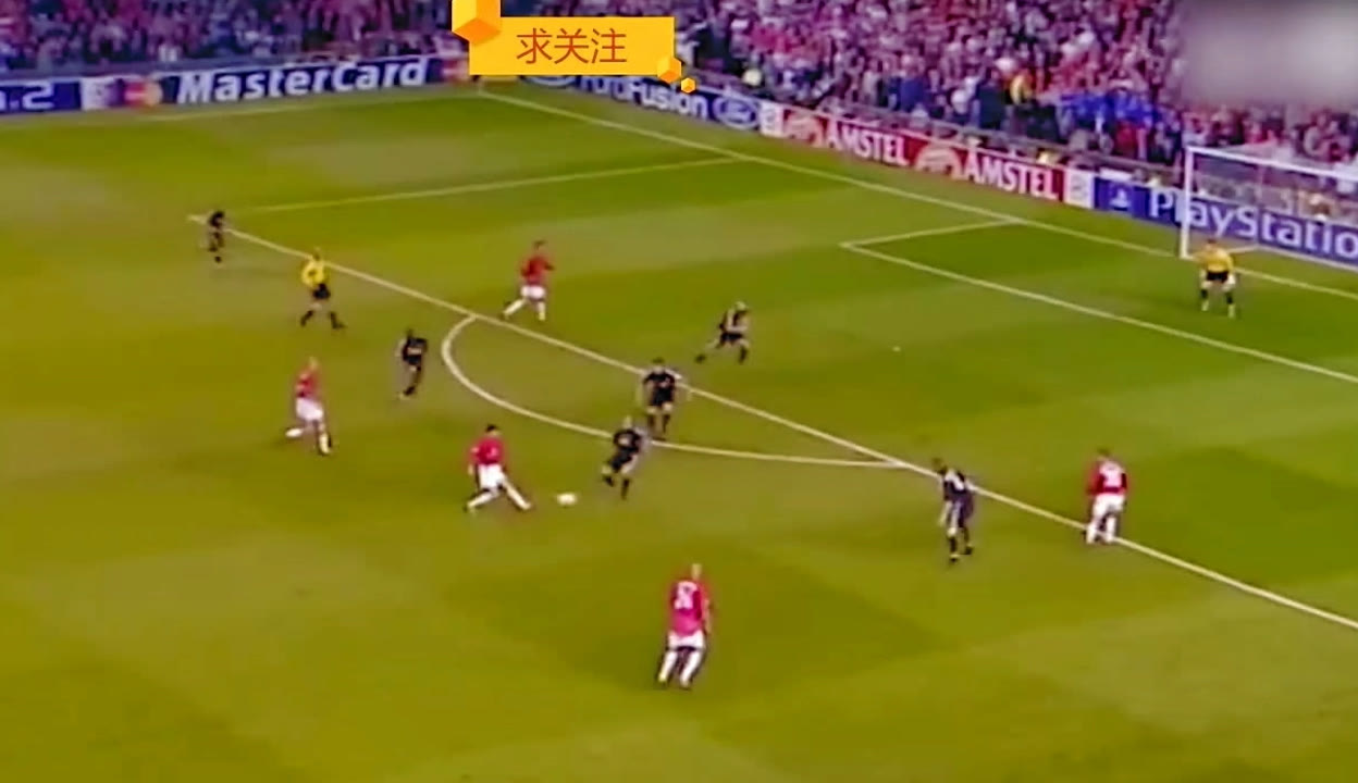 青岛红狮在 青岛红狮在